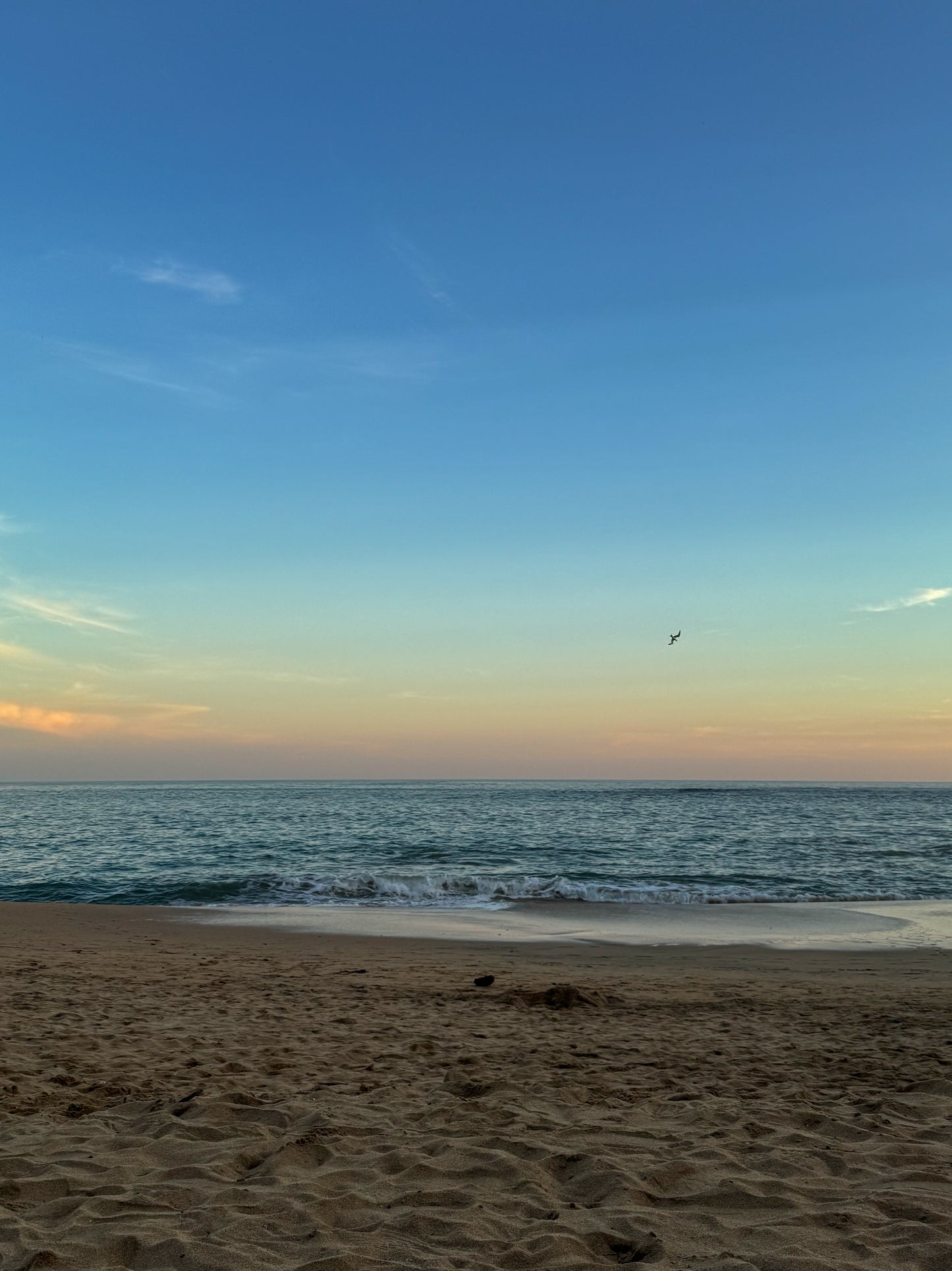 Un Rinconcito de PUERTO ESCONDIDO