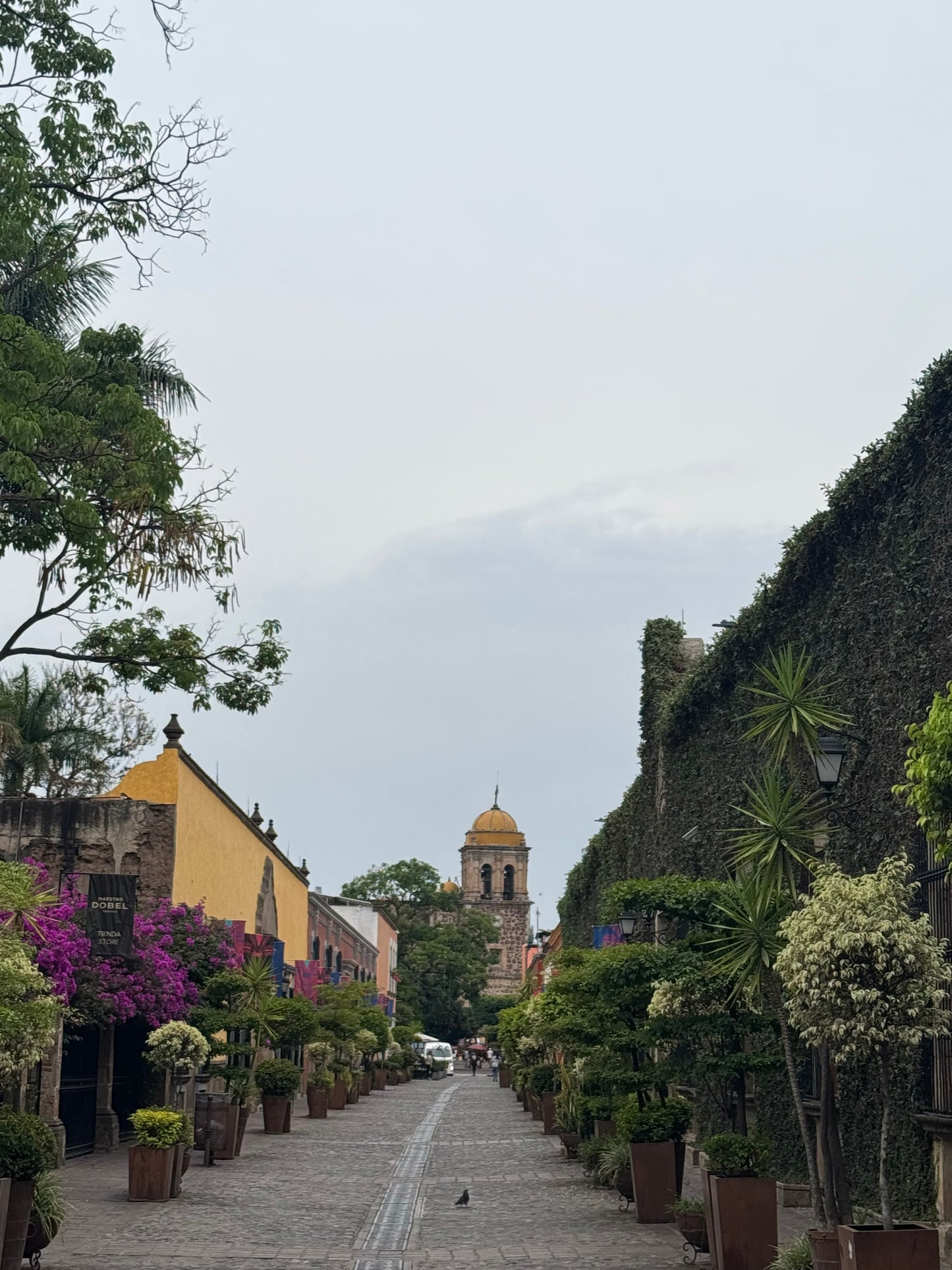 Un Rinconcito de GUADALAJARA