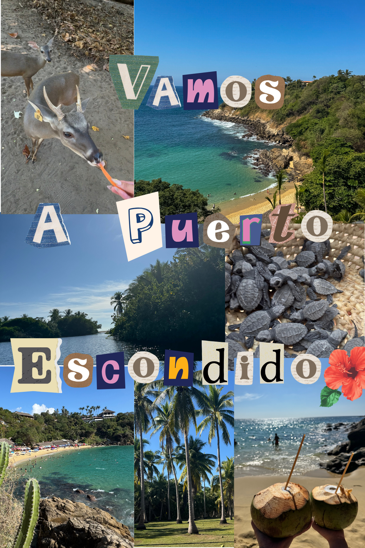 Un Rinconcito de PUERTO ESCONDIDO