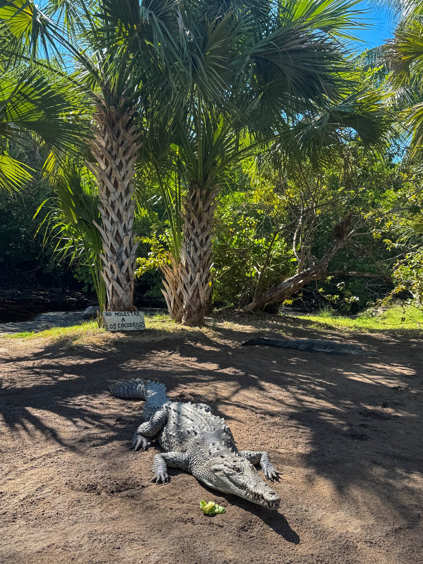 Un Rinconcito de PUERTO ESCONDIDO