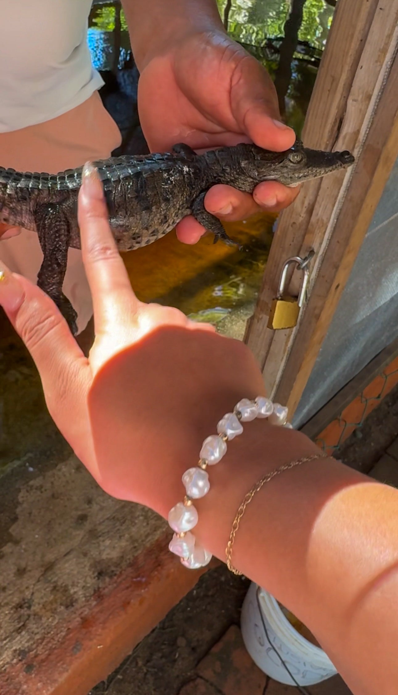 Un Rinconcito de PUERTO ESCONDIDO