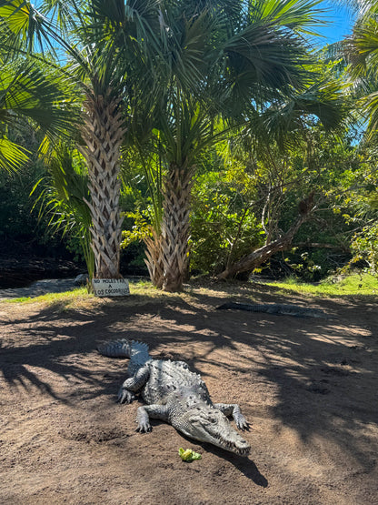 Un Rinconcito de PUERTO ESCONDIDO